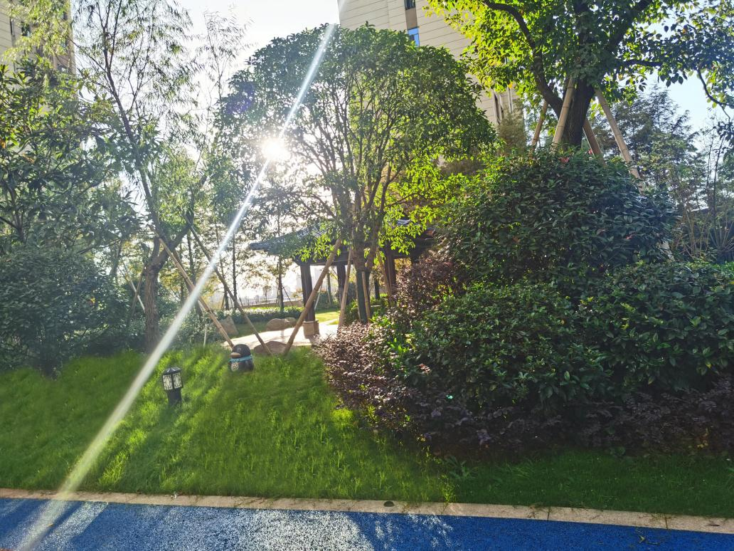 1636963765781101.png 图片13.png