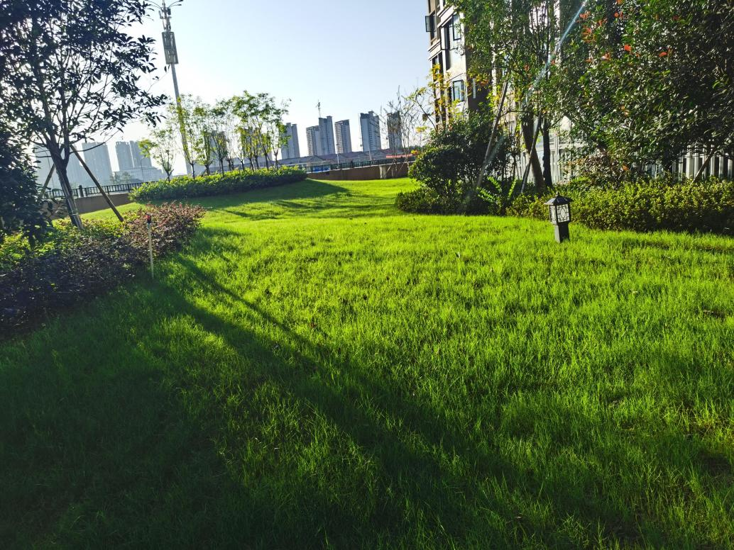 1636963791753509.png 图片14.png